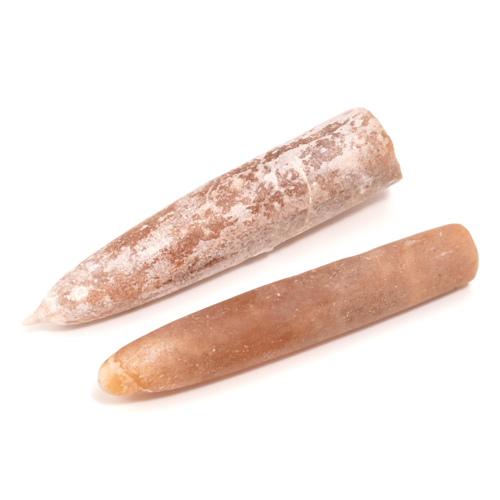 Belemnite
