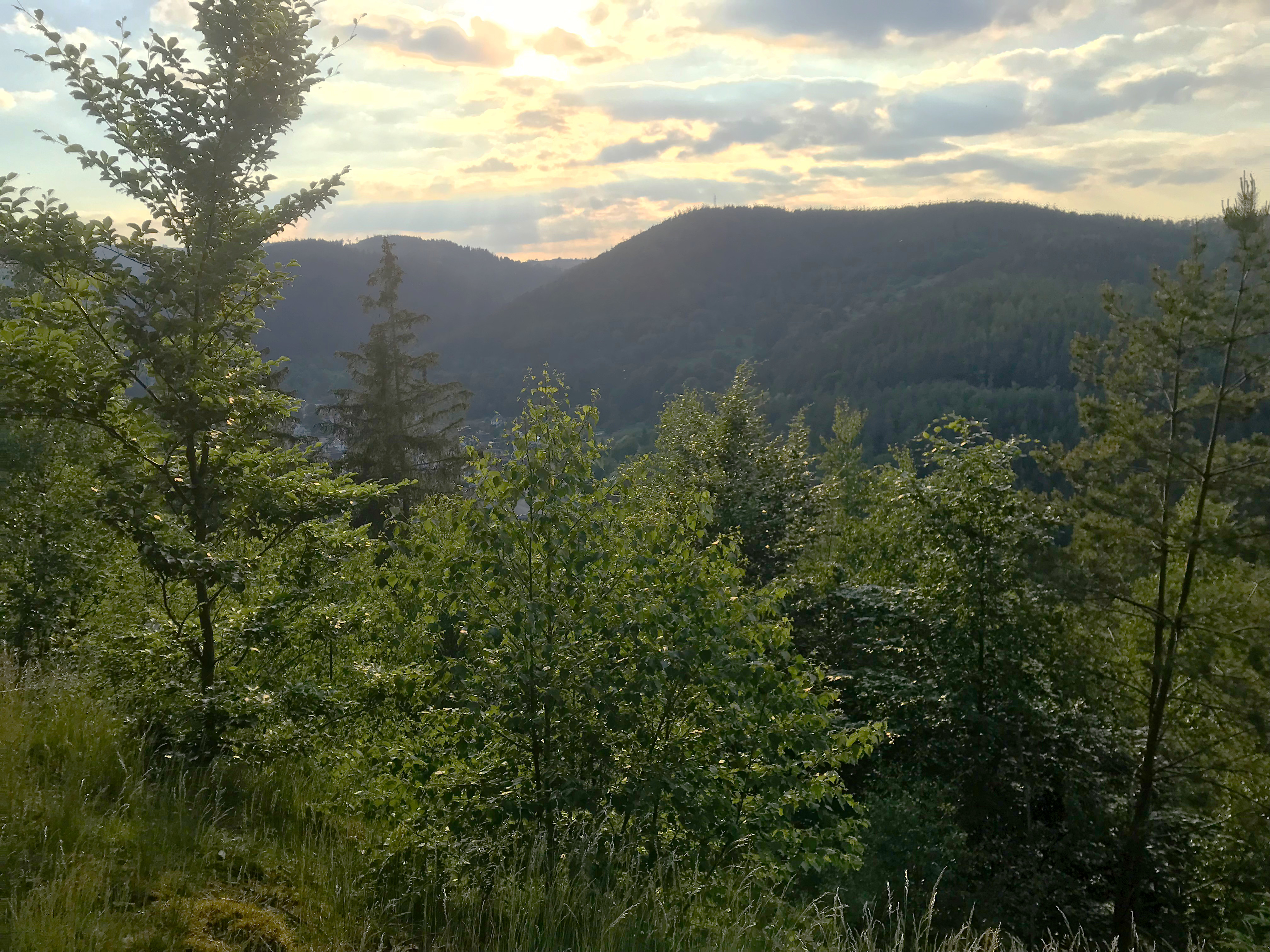 Reiki-Einweihung und Thüringer Wald