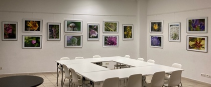 Bild 0